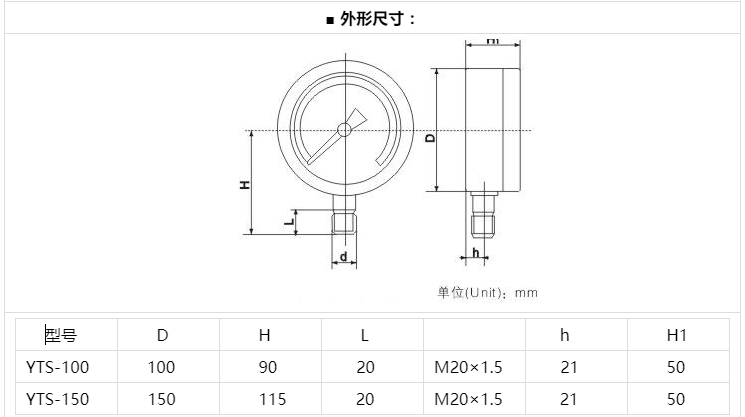 YTS-100耐酸压力表
